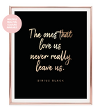 Never Leave Us Foil Wall Print