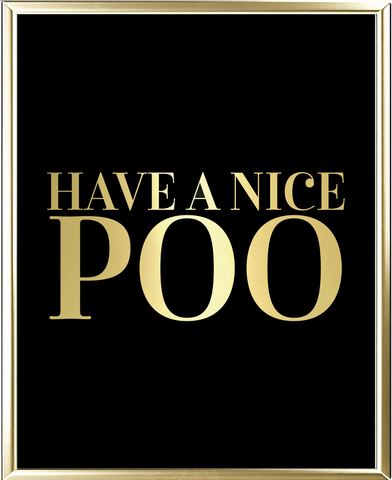 Have A Nice Poo Foil Wall Print