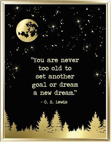 Never Too Old Foil Wall Print