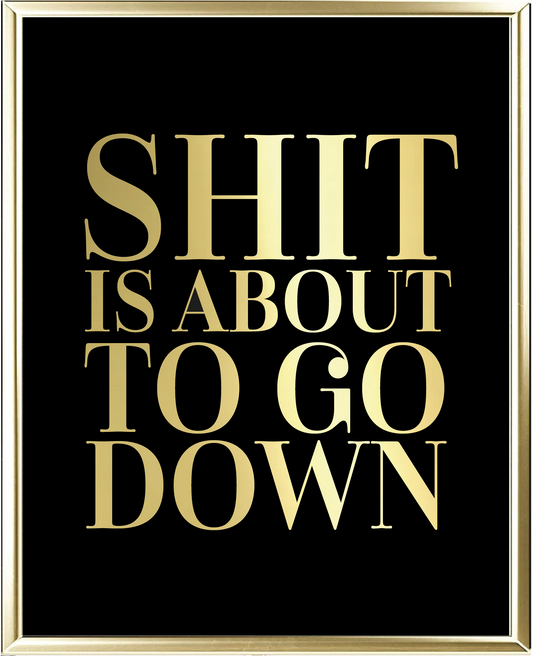 Shit Is About To Go Down Foil Wall Print