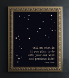 Precious Life Foil Wall Print